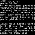 xampp