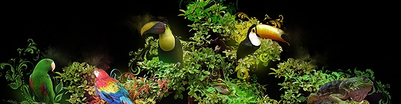 Mindblowing Nature von Frosty47