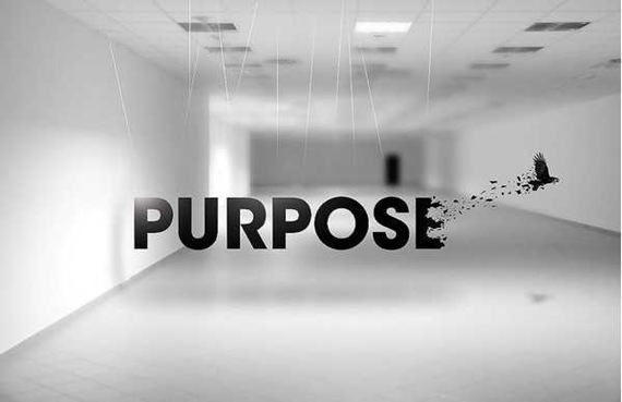 Purpose on the Behance Network